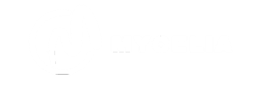 Logo LaunchCamp